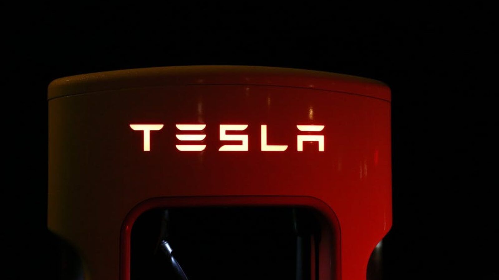 Ten Reasons Why The Tesla Craze Is Here To Stay
